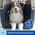 Petmate Sky Kennel - 28 Inch IATA Compliant Dog Crate, Perfect for Pets 15-30 lbs, Made in USA