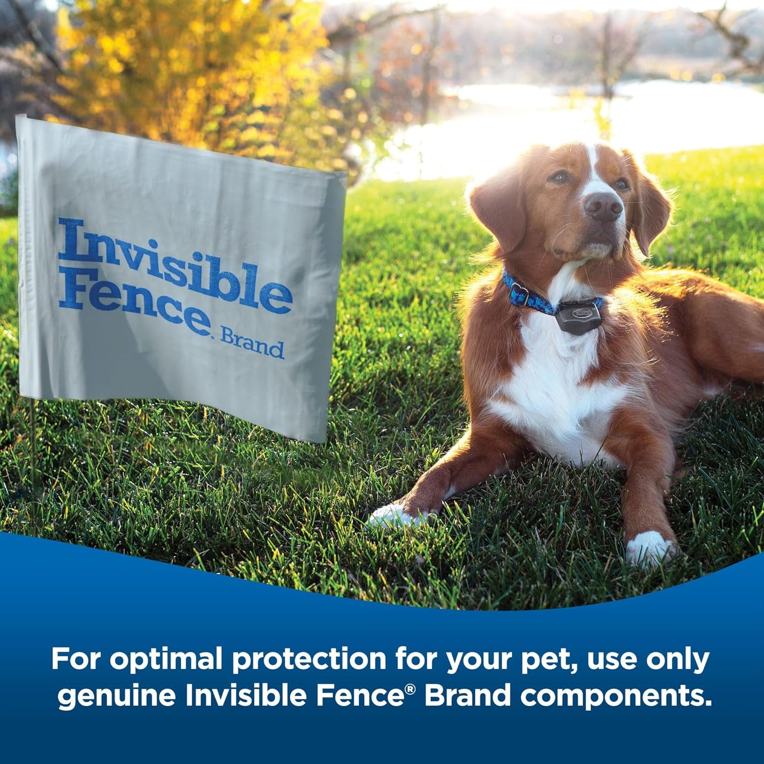 Invisible Fence Brand Power Cap Battery, Compatible with Microlite & Maxdog Computer Collars, Single Replacement Battery