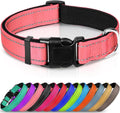 Joytale Large Reflective Dog Collar: Soft Neoprene Padded, Breathable Nylon, Adjustable, Teal