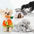 Nocciola 12-Piece Squeaky Dog Toy Set: Plush, Includes Carrying Bag for Small to Medium Dogs