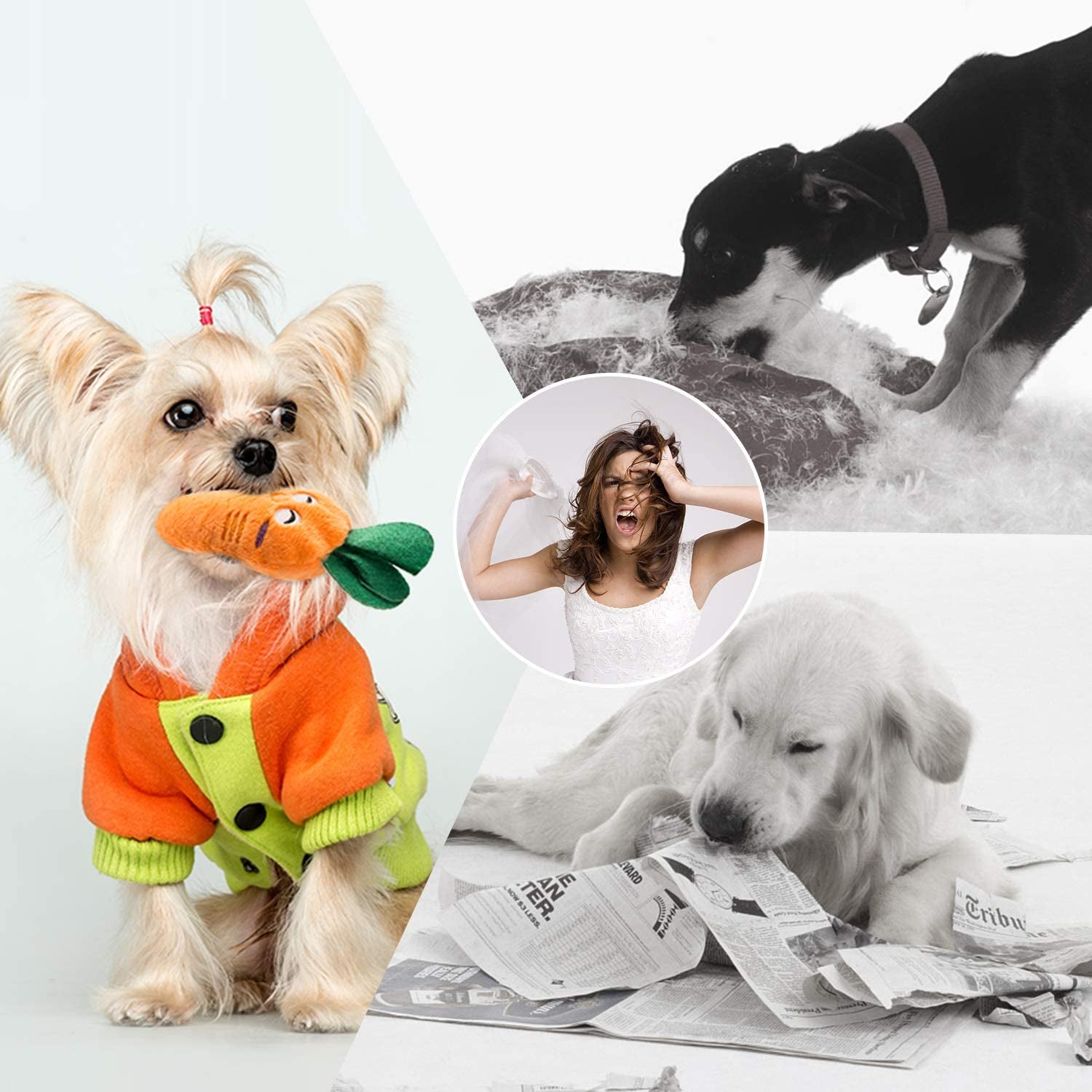 Nocciola 12-Piece Squeaky Dog Toy Set: Plush, Includes Carrying Bag for Small to Medium Dogs