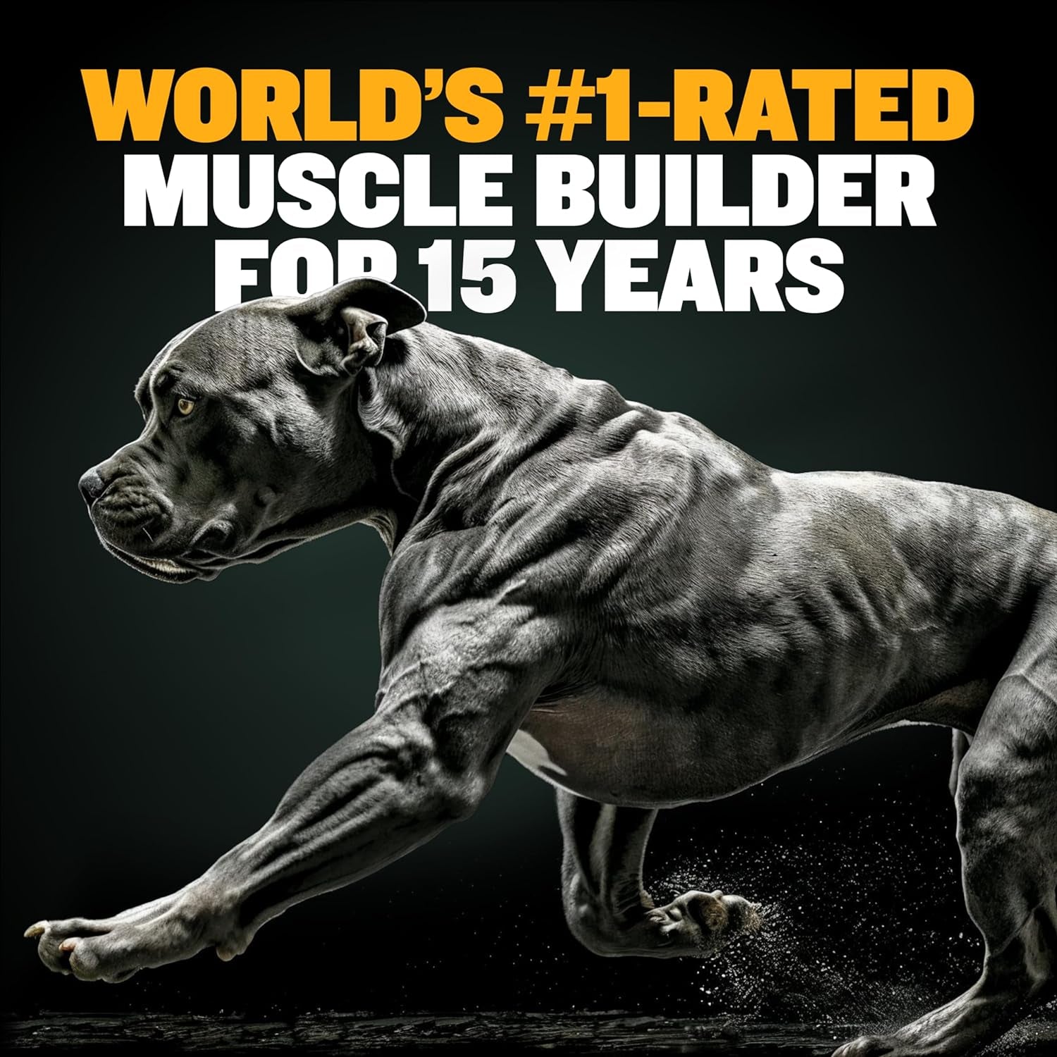 Bully Max Muscle Builder Soft Chews – Training Supplements for Puppies & Adult Dogs, 75 Soft Chews for Muscle Gain & Strength, All Dog Breeds & Ages