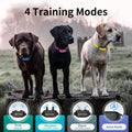 Petjoy Shock Collar for Large Dogs, Automatic Bark Collar, Auto Bark and Training Collar Combo - 3 Dog Shock Collar with Remote, Beep, Vibration and Shock