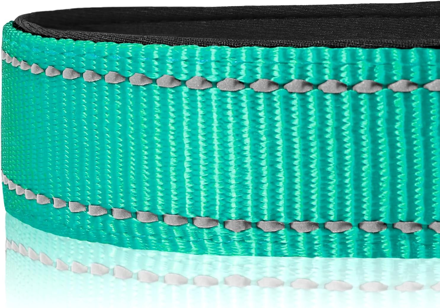 Joytale Large Reflective Dog Collar: Soft Neoprene Padded, Breathable Nylon, Adjustable, Teal