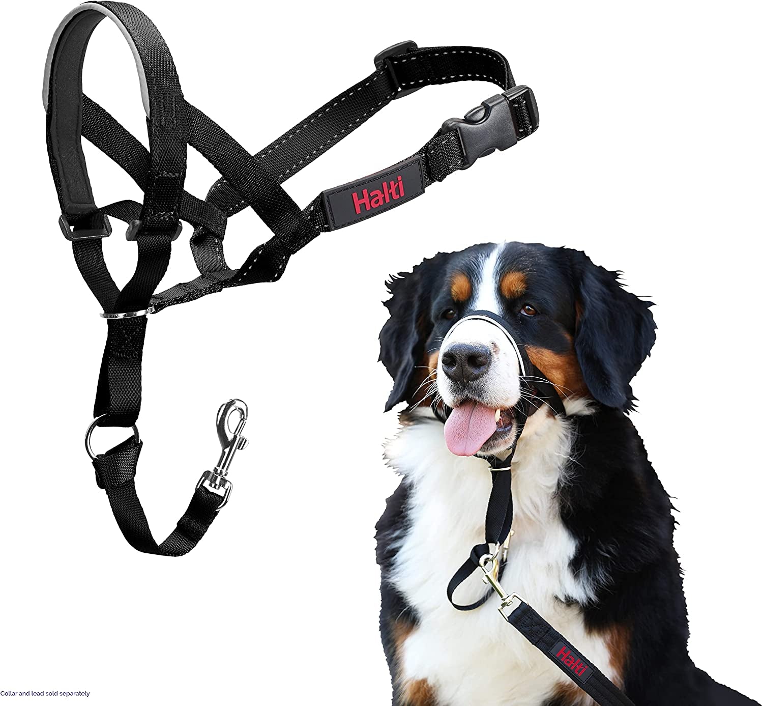 HALTI Headcollar for Medium Dogs - Adjustable, Reflective Anti-Pull Collar with Padded Nose Band