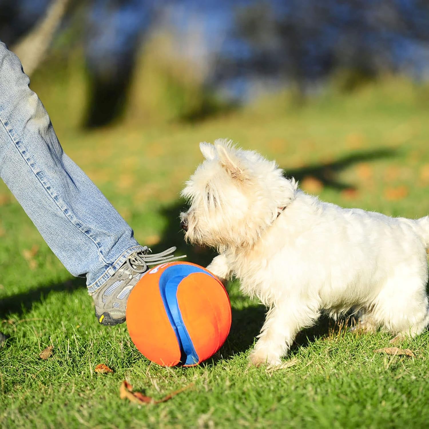 Chuckit Kick & Fetch Ball - Durable Dog Toy for Fetch, 8 Inch Diameter