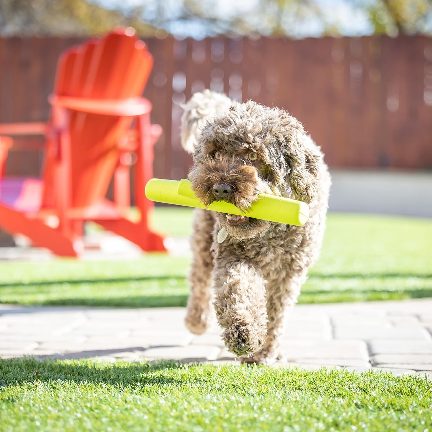 Hyper Pet EVA Foam Fetching Dog Toy – Throwing Stick for Dogs, Lightweight & Durable, Floats on Water, Easy to Clean