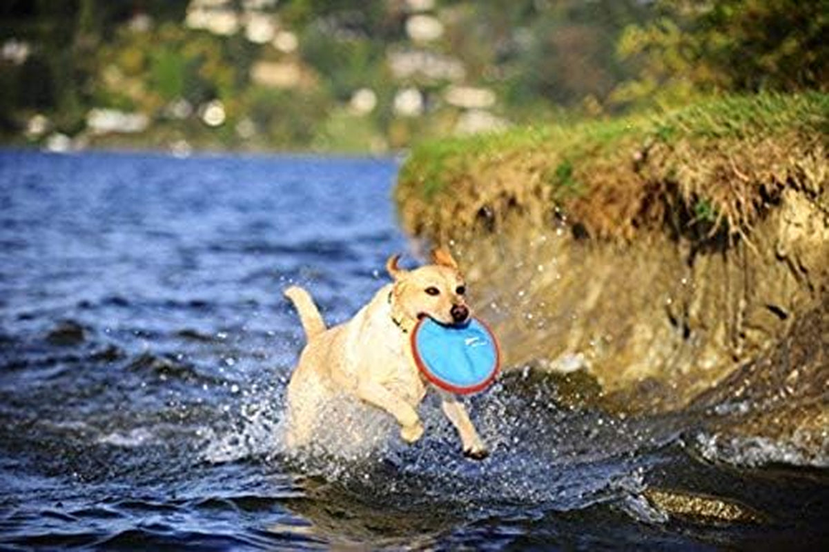 Chuckit! Paraflight Small Flying Disc: 6.75", Orange and Blue, for Dogs