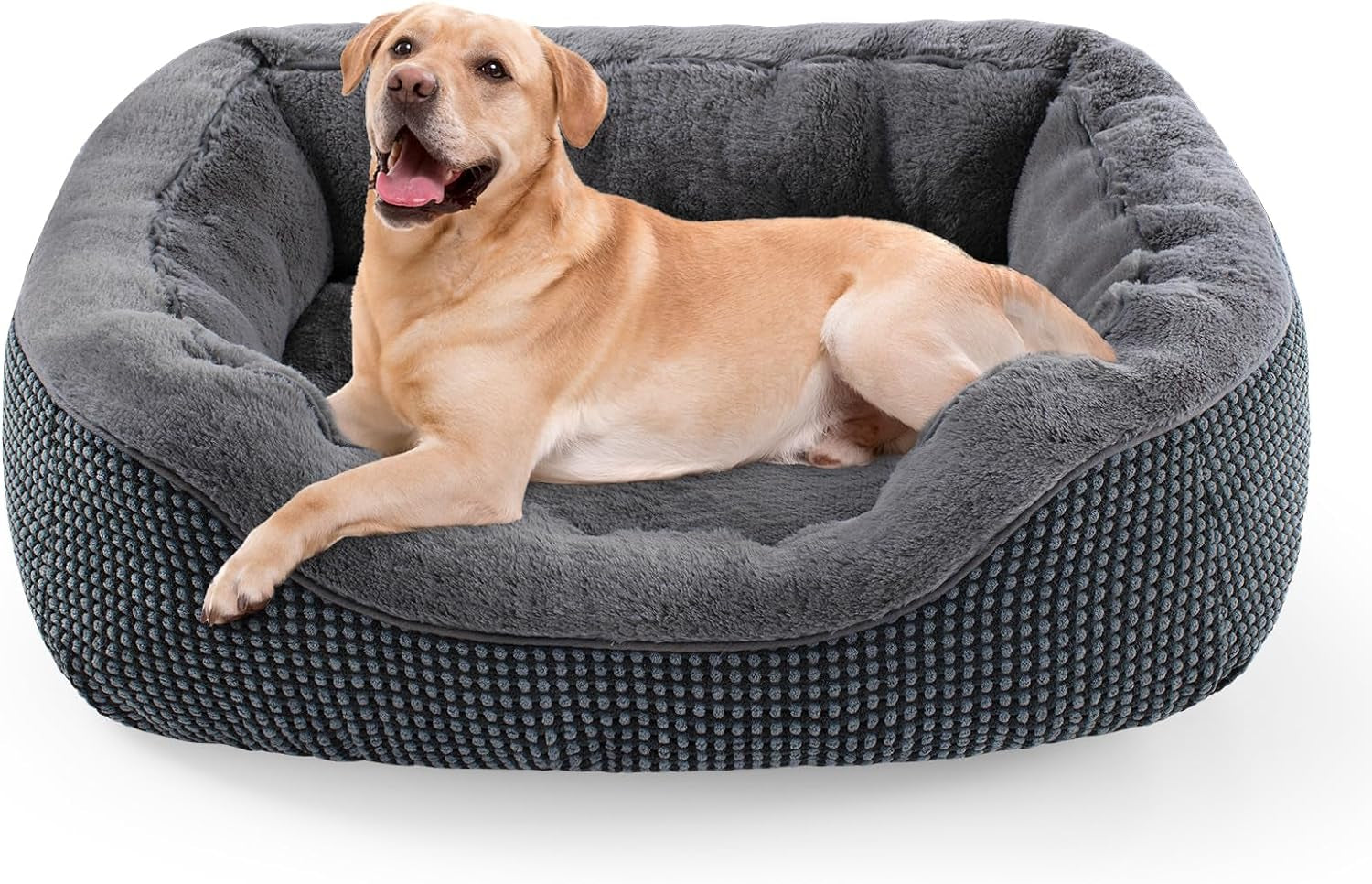 INVENHO Small Orthopedic Dog Bed - Washable, Anti-Slip for Small Dogs & Cats, 20"x19"x6"