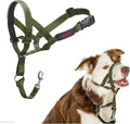 HALTI Headcollar for Medium Dogs - Adjustable, Reflective Anti-Pull Collar with Padded Nose Band