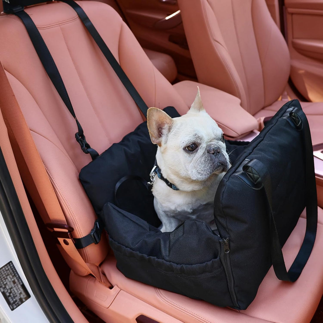 Detachable Dog Car Seat for Puppies, Equipped with Storage Bag & Safety Belt, Airbag Protection, Washable Travel Seat