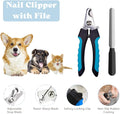 Pupluxe Puppy Starter Kit - 22 Piece Blue Set for Training & New Dog Owners, Ideal Puppy Welcome Gift Bundle