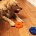 Non-Toxic Squeaky Toys Set for Dogs, TPR Rubber, Fetch & Teething Toys for Small to Medium Dogs