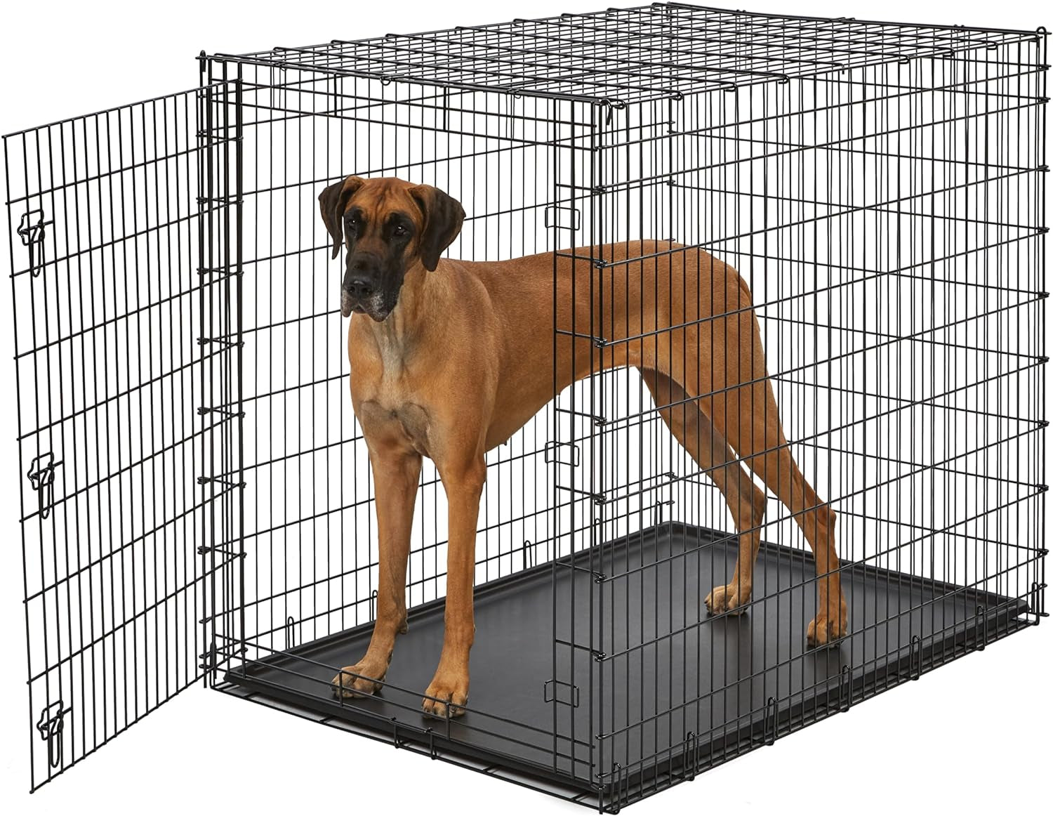 Midwest Single Door Enhanced Crate – 36-Inch Dog Crate with Leak-Proof Pan, Divider Panel, Patented Features, Floor-Protecting Feet, Ideal for Medium Breeds