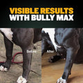 Bully Max Muscle Builder Soft Chews – Training Supplements for Puppies & Adult Dogs, 75 Soft Chews for Muscle Gain & Strength, All Dog Breeds & Ages