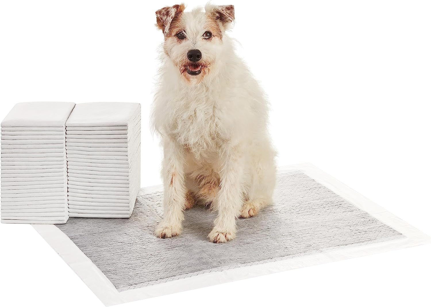 Leak-Proof Puppy Pee Pads with 5-Layer Quick-Dry Surface – Standard Absorbency Potty Training Pads, Various Quantities in Blue & White