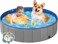 Foldable Medium Dog Pool, Collapsible Bath for Dogs & Kids, PVC, 40
