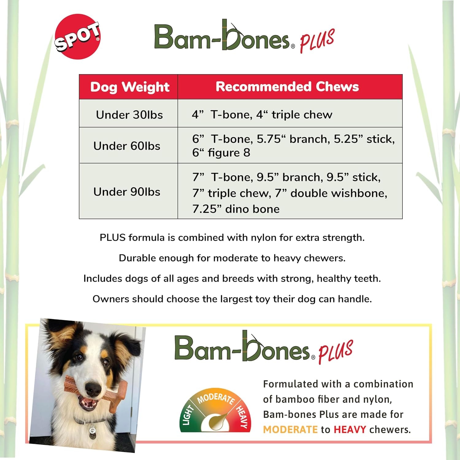 SPOT Bam-Bones Plus T-Bone for Dogs Under 60Lbs: Durable, Non-Splintering Chew Toy, Beef Flavor