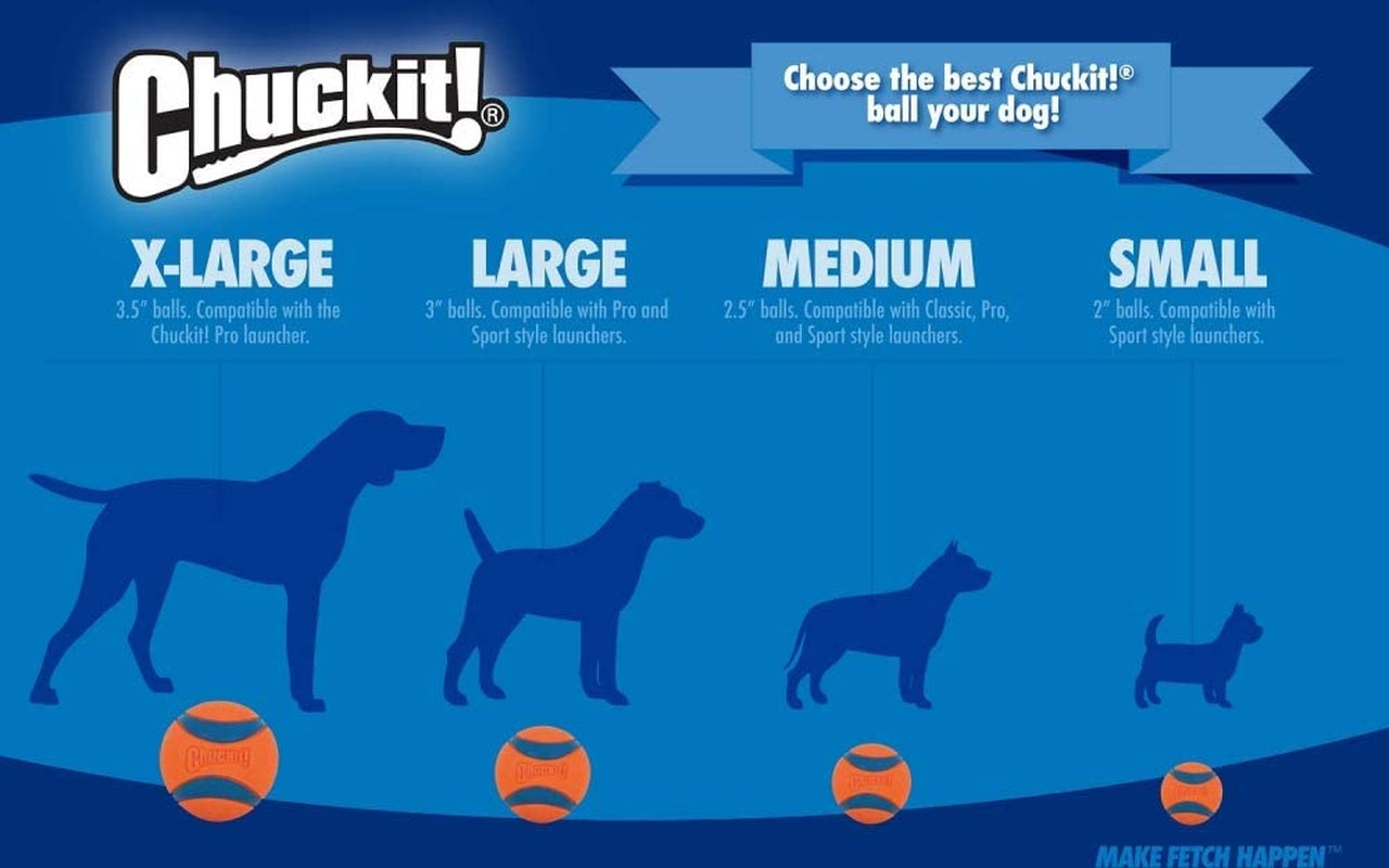 Chuckit! Medium Rebounce Ball: 2.5 Inch, 2-Pack, Durable, For Active Dogs, Blues & Purples