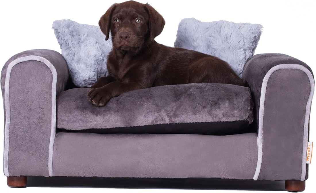 Furry Dog Sofa Lounge, Various Sizes and Colors, Comfortable & Stylish Pet Sofa for Relaxing