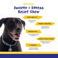 Pupgrade Anxiety Chews for Dogs - Meat Flavored Soft Chews, Natural Ingredients