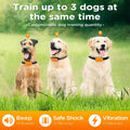 Wireless Electric Dog Fence – Circular Boundary System with Training Shock Collar, No Wire Needed, Remote Controlled Dog Fence