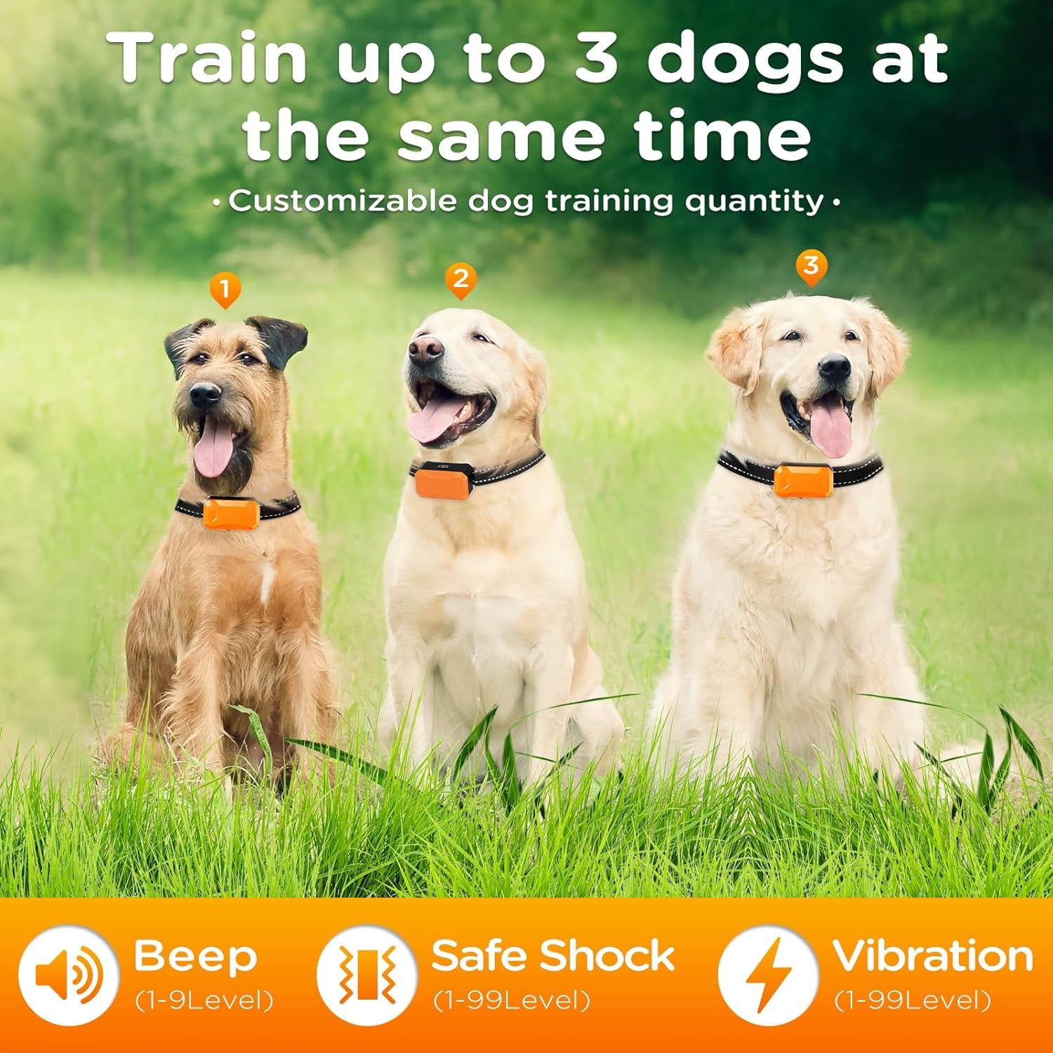 Wireless Electric Dog Fence – Circular Boundary System with Training Shock Collar, No Wire Needed, Remote Controlled Dog Fence