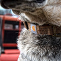 Carhartt Dog Collar - Brushed Brass Large, Various Sizes & Colors