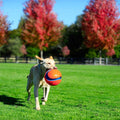 Chuckit Kick & Fetch Ball - Durable Dog Toy for Fetch, 8 Inch Diameter