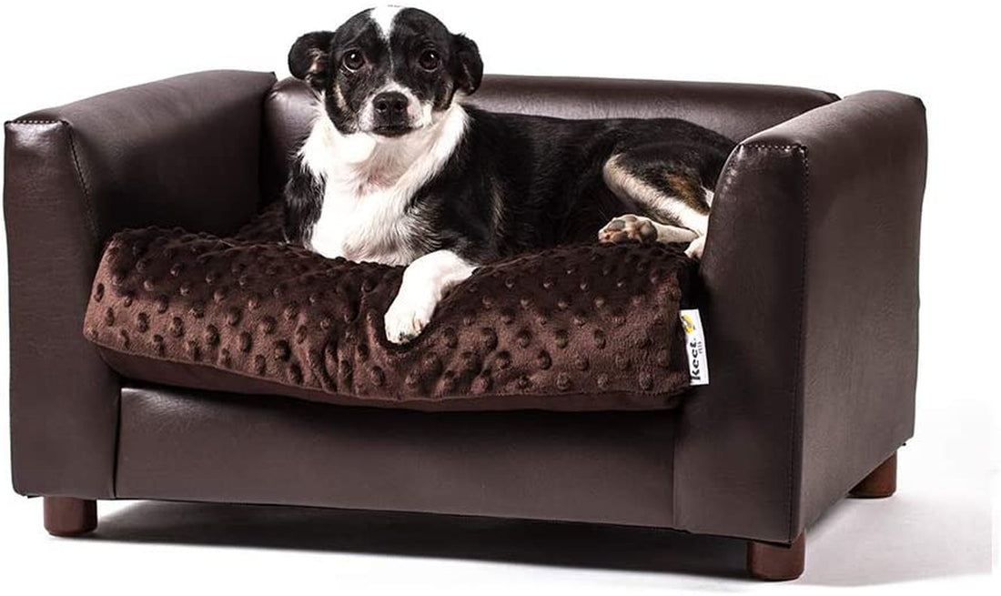 Keet Fluffy Deluxe Dog Bed Sofa – Stylish Dark-Colored Sofa Bed, Comfortable and Cozy Design for Small Dogs