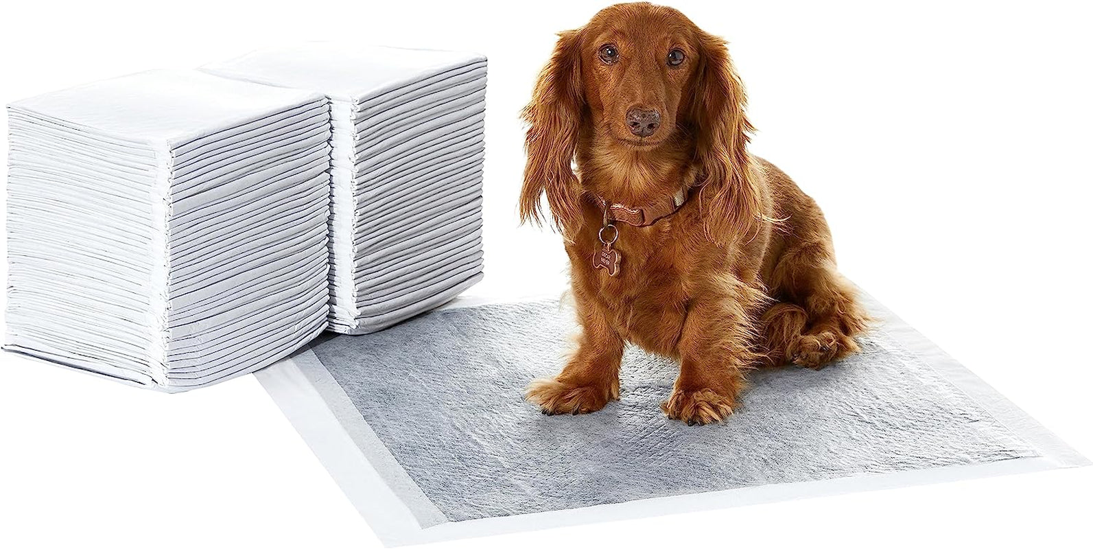 Leak-Proof Puppy Pee Pads with 5-Layer Quick-Dry Surface – Standard Absorbency Potty Training Pads, Various Quantities in Blue & White