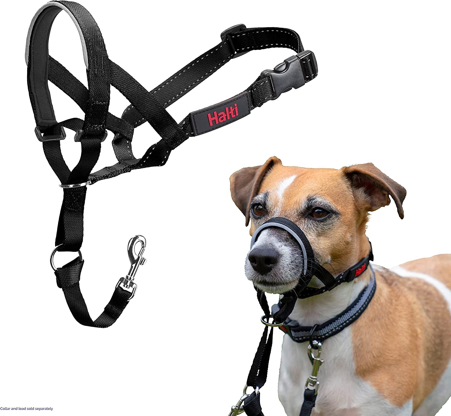 HALTI Headcollar for Medium Dogs - Adjustable, Reflective Anti-Pull Collar with Padded Nose Band