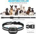 2-in-1 GPS Wireless Dog Fence & Remote Trainer, Waterproof Rechargeable Collar with Beep, Vibration & Shock