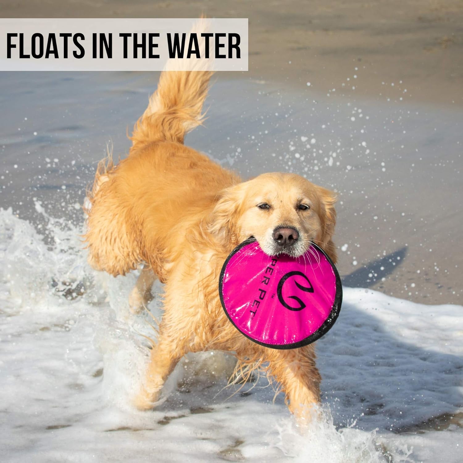 Hyper Pet Flippy Flopper 9" Flying Disc: Floats in Water, Safe on Teeth, 2-Pack, Assorted Colors