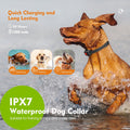 Electric Fence with GPS Dog Collar – Adjustable Smart Wireless Dog Fence System, Waterproof, 33-999 Yard Range for Most Dog Breeds