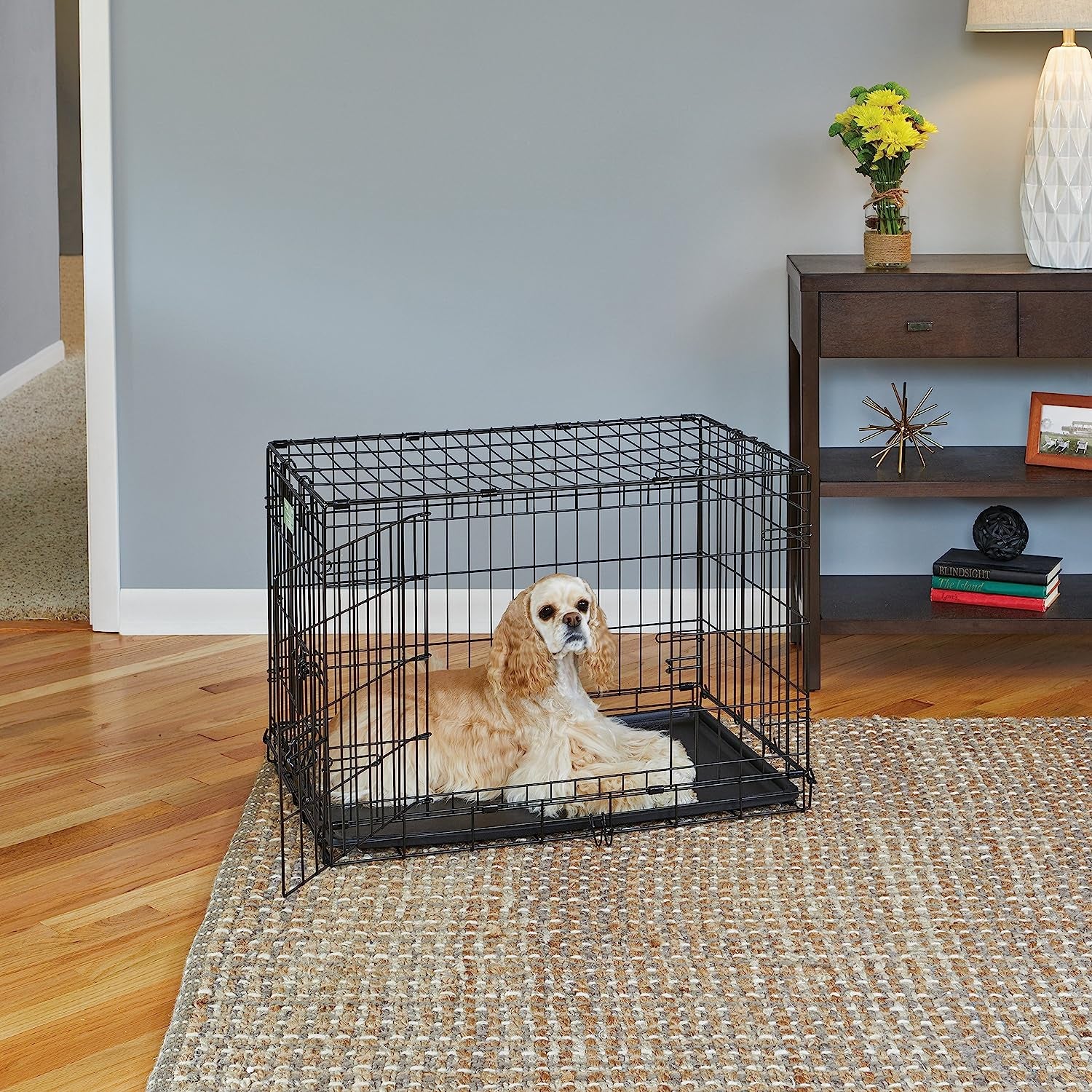 Midwest Life Stages 30" Double Door Folding Dog Crate - Medium Metal Dog Crate with Divider Panel, Floor Protecting Feet & Leak-Proof Pan