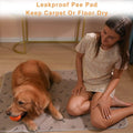 Peepeego 2-Pack Washable Dog Pads - Absorbent, Non-Slip, Reusable Puppy Pads with Free Comb