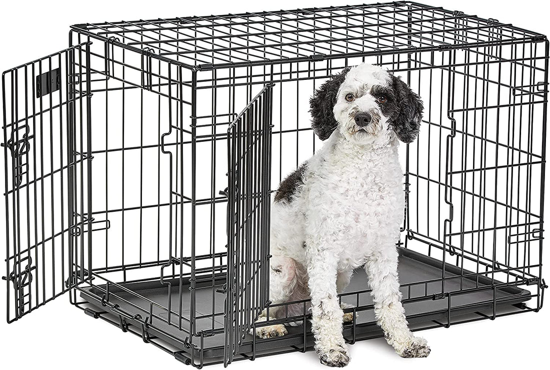 Midwest Life Stages 30" Double Door Folding Dog Crate - Medium Metal Dog Crate with Divider Panel, Floor Protecting Feet & Leak-Proof Pan