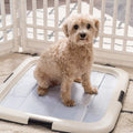 IRIS USA Pee Pad Holder – Non-Skid Leak Protection Tray, Secured Latches, Easy Clean Finish, Fits 20