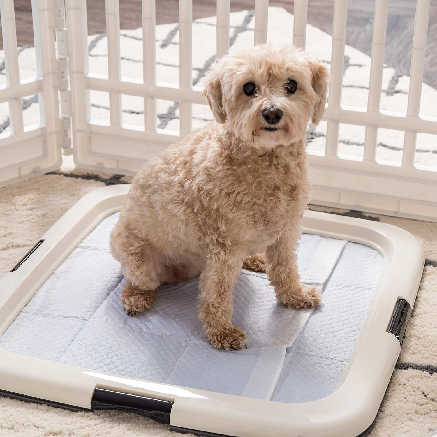 IRIS USA Pee Pad Holder – Non-Skid Leak Protection Tray, Secured Latches, Easy Clean Finish, Fits 20"x20" Pads