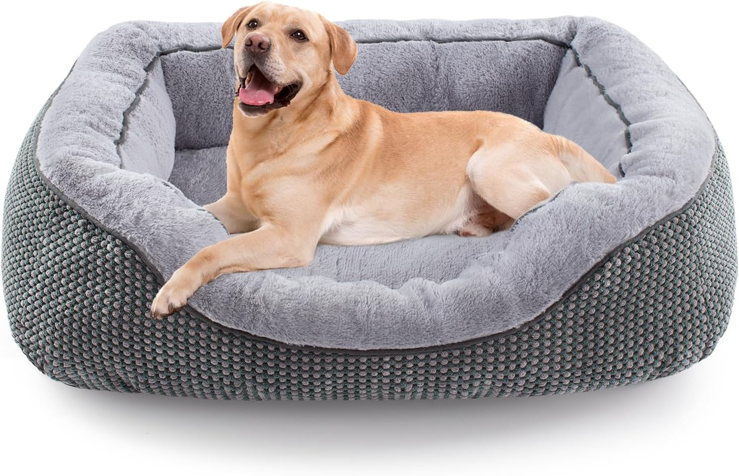 INVENHO Small Orthopedic Dog Bed - Washable, Anti-Slip for Small Dogs & Cats, 20"x19"x6"