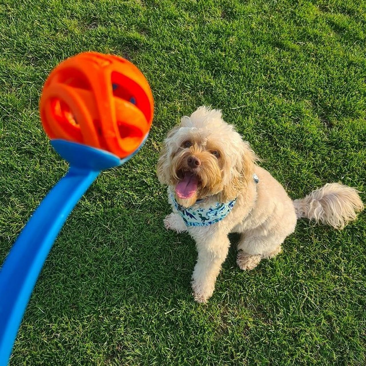 Chuckit! Air Fetch Ball Medium 2-Pack: Durable Rubber for Dogs 20-60 Lbs