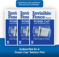 Invisible Fence Brand Power Cap Battery, Compatible with Microlite & Maxdog Computer Collars, Single Replacement Battery