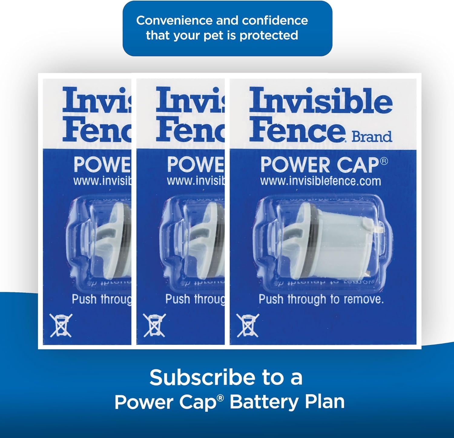Invisible Fence Brand Power Cap Battery, Compatible with Microlite & Maxdog Computer Collars, Single Replacement Battery