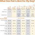 Leak-Proof Puppy Pee Pads with 5-Layer Quick-Dry Surface – Standard Absorbency Potty Training Pads, Various Quantities in Blue & White