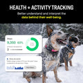Smart Dog Collar – GPS Dog Tracker & Activity Monitor with Escape Alerts, Waterproof LED Light, Nationwide Coverage, 1-Year Free Membership