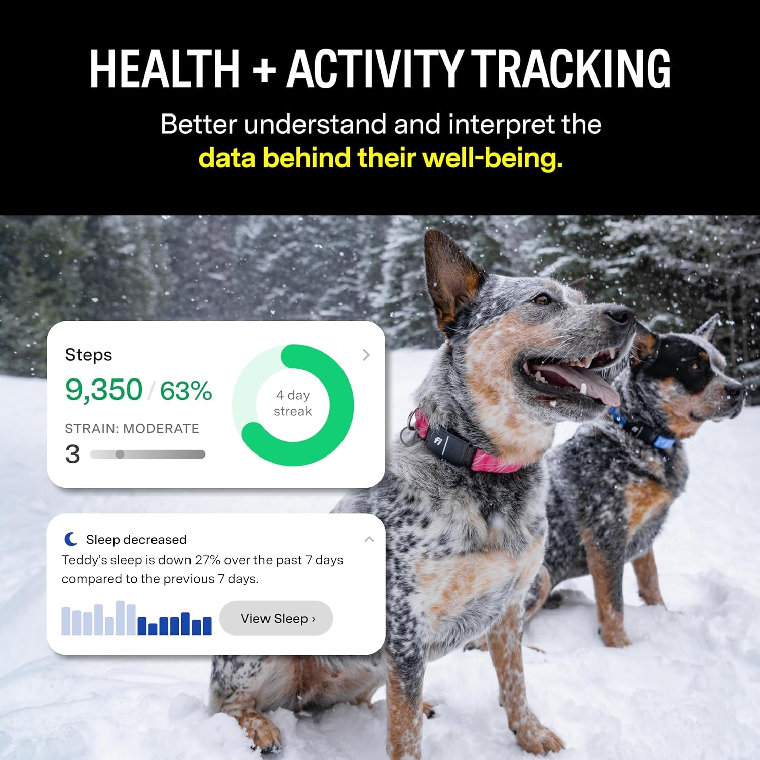 Smart Dog Collar – GPS Dog Tracker & Activity Monitor with Escape Alerts, Waterproof LED Light, Nationwide Coverage, 1-Year Free Membership