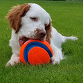Chuckit Kick & Fetch Ball - Durable Dog Toy for Fetch, 8 Inch Diameter