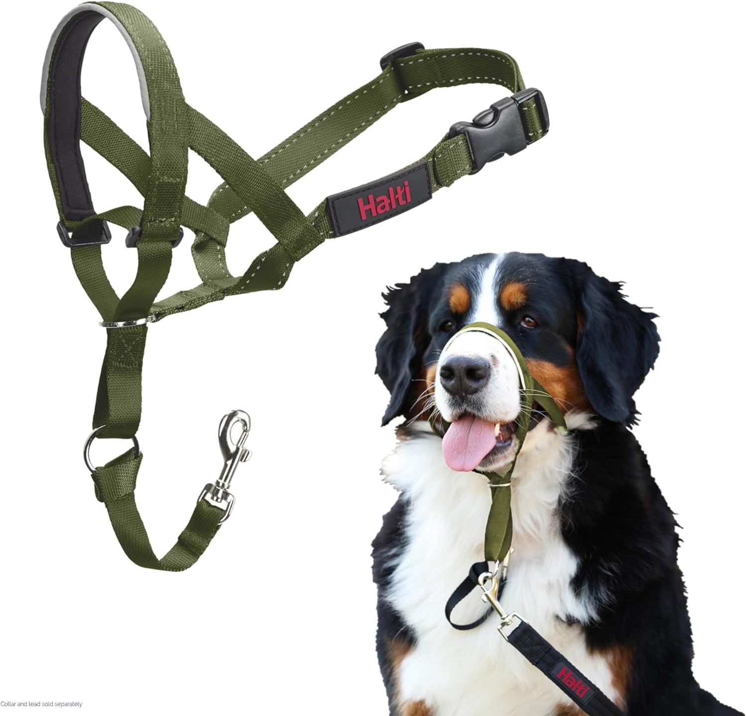 HALTI Headcollar for Medium Dogs - Adjustable, Reflective Anti-Pull Collar with Padded Nose Band