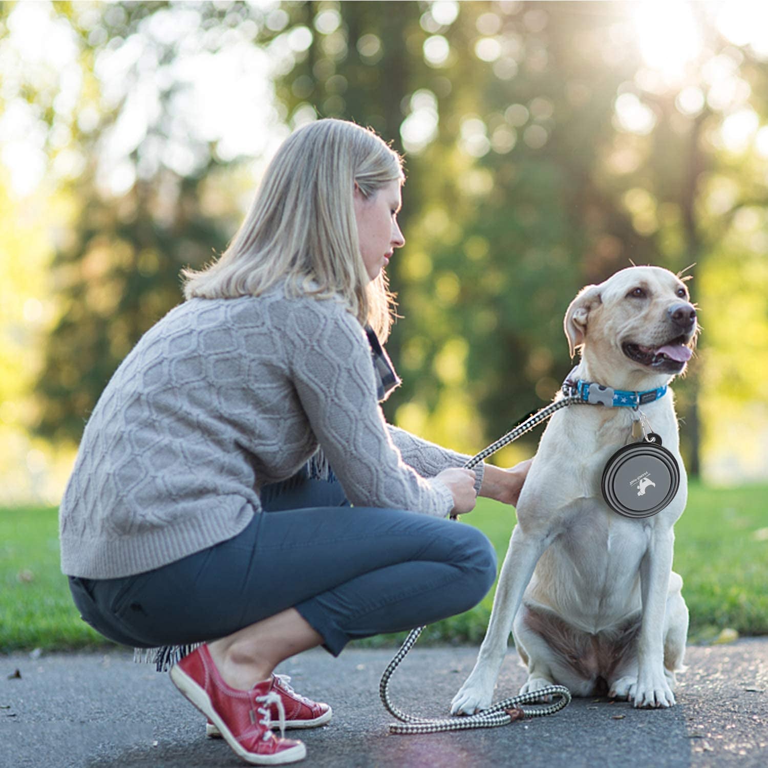 2-Pack Collapsible Dog Bowls with Carabiners: Portable, BPA-Free for Travel & Outdoor Activities